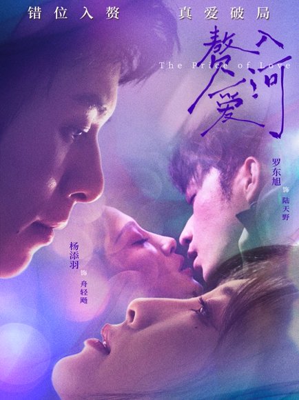 赘入爱河（71集）罗东旭&杨添羽 高清完整版