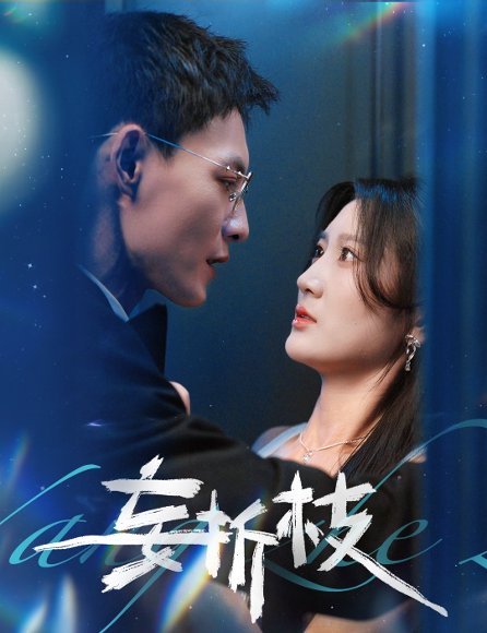 妄折枝（53集）冯铭潮＆杨珊子 高清完整版