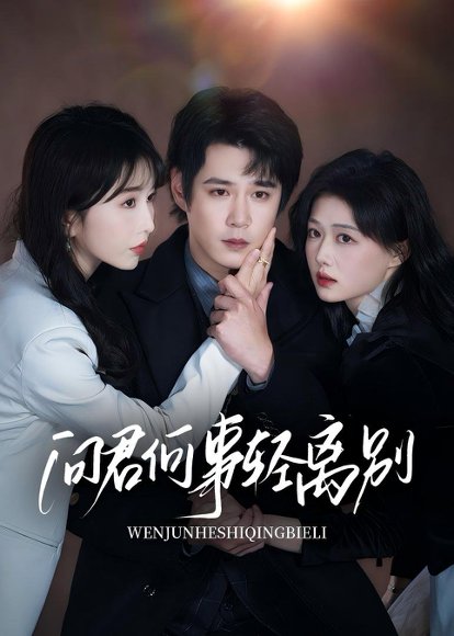 问君何事轻离别（30集）郝顺&程七月 高清完整版